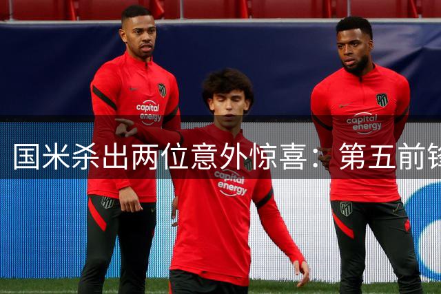 国米杀出两位意外惊喜：第五前锋现身 低价巨汉中场还真不是水货